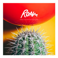 Playing Fiction - Roam