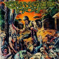 Consumed in Darkness - Jungle Rot