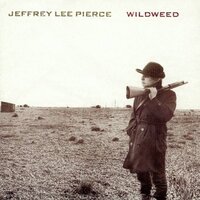 Hey Juana - Jeffrey Lee Pierce