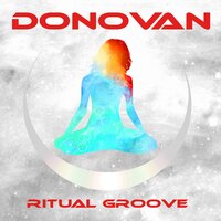 Diggin' The Future Now - Donovan