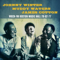 You Dont Have To Go - Johnny Winter, Muddy Waters, James Cotton