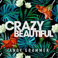 Crazy Beautiful - Andy Grammer