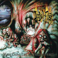 Infecting Them with Falsehood - Deeds of Flesh