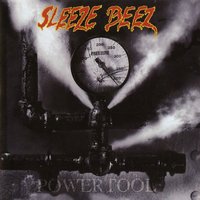 Fuel for the Fire - Sleeze Beez