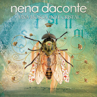 Una Mosca En El Cristal - Nena Daconte