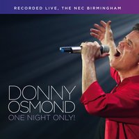 My Love is a Fire - Donny Osmond