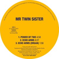 Echo Arms - Mr Twin Sister