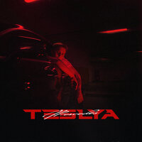 Mercedes - TESLYA
