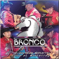 Chocheman - Bronco