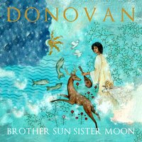 Shape In the Sky - Donovan