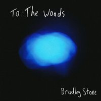 On the Moon - Bradley Stone