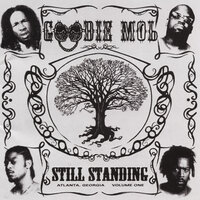 Still Standing - Goodie Mob