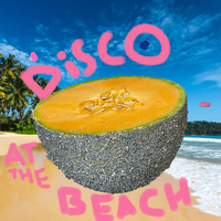 Disco at the Beach - NVDES