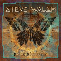 Warsaw - Steve Walsh