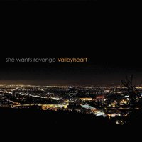 Must Be the One - She Wants Revenge