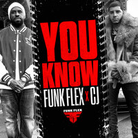 You Know - Funk Flex