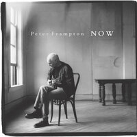 Love Stands Alone - Peter Frampton