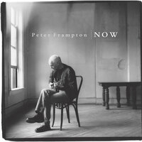 Not Forgotten - Peter Frampton