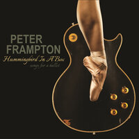 Hummingbird in a Box - Peter Frampton