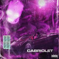 Cabriolet - Macho