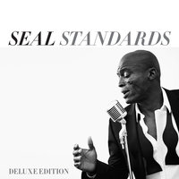 Anyone Who Knows What Love Is - Seal