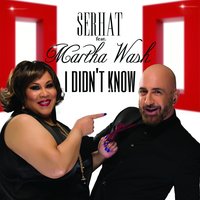 I Didn't Know - Serhat, Martha Wash