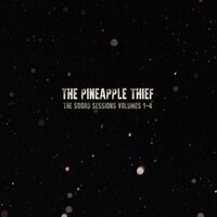 Willow Tree - The Pineapple Thief