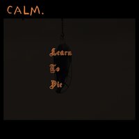 Learn to Die - Calm.
