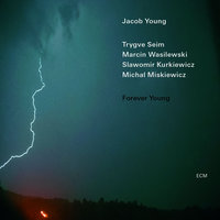 Comeback Girl - Jacob Young, Trygve Seim, Marcin Wasilewski