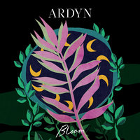 Life Happens - Ardyn