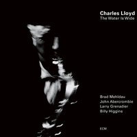 Black Butterfly - Charles Lloyd