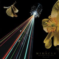 Night Sides - Miracle