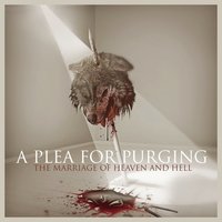 Finite - A Plea for Purging