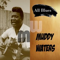 Crawlin'kingsnake - Muddy Waters