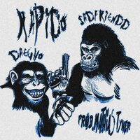 Rapido! - Sadfriendd