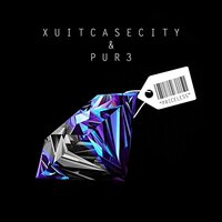 Priceless - Xuitcasecity, Pur3