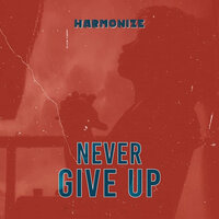 Never Give Up - Harmonize