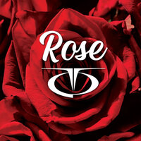 Rose - Tq