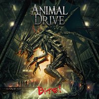 Hands of Time - Animal Drive