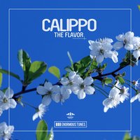 The Flavor - Calippo