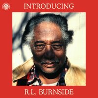 Snake Drive - R.L. Burnside