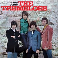 Good Day Sunshine - The Tremeloes