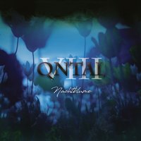 Nachtblume - Qntal