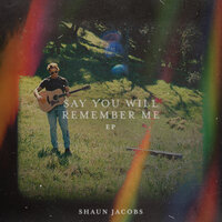 Say You Will Remember Me - Shaun Jacobs, Young Bombs