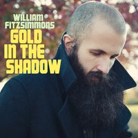 Wounded Head - William Fitzsimmons