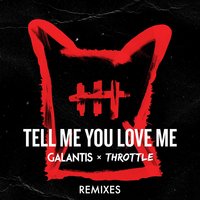 Tell Me You Love Me - Galantis, Throttle, Toby Green