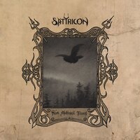 Into the Mighty Forest - Satyricon