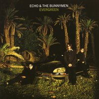 Just a Touch Away - Echo & the Bunnymen