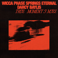 I Want To Go Out Tonight - Wicca Phase Springs Eternal