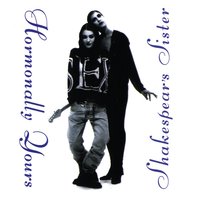 Are We in Love Yet - Shakespears Sister
